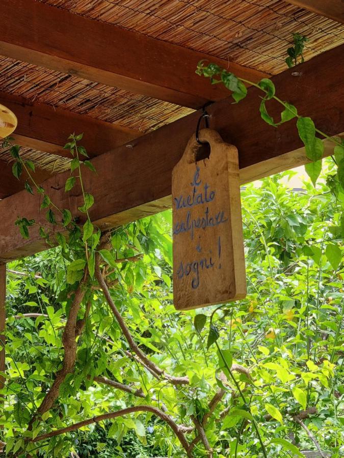 Villa Pina Laigueglia Bagian luar foto